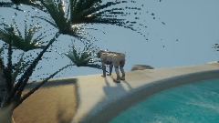 Dog summer