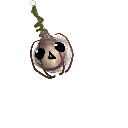 Nikkemonk