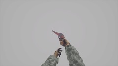 Hunting Pistol Animation
