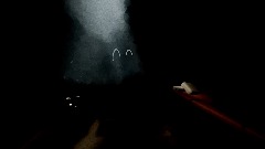 The incident