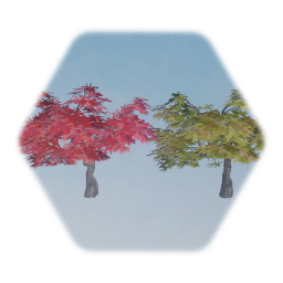 Weeping Japanese maple 1 tree