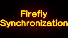 Firefly Synchronization