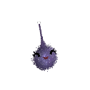 spcopsmac