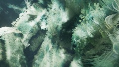 New test before the gameplay of the game