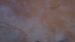 Wario dies in a plane Crash