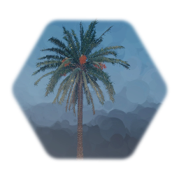 Medjool palm