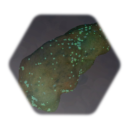 Large Beach Rock w/ lichen