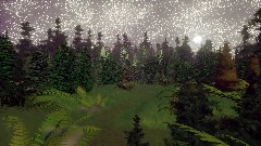 Woods at night