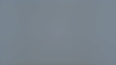 One Piece Will Be Able To TRAVEL