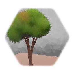 1er arbre