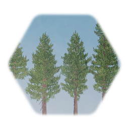 Western Red Cedar Tree 1 Sculpt