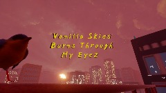 Vanilla Skies Burns Through My Eyez (Album)