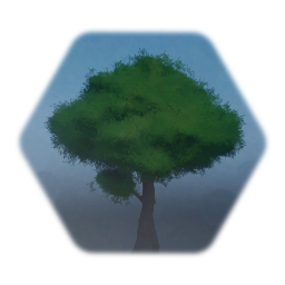 Ash Tree with Knothole - 2/17/2020
