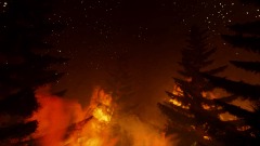 Forestal Fire