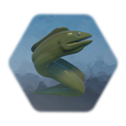 Moray Eel