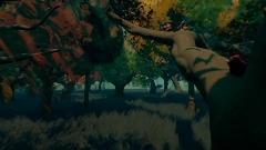 A Wild and Wonderful Autumn