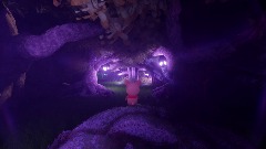 The  Forbidden Forest