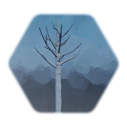 Birch Tree  w/ Snow