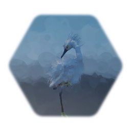 Snowy Egret (updated)