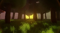 Forest 3
