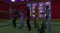 Training in the Dojo