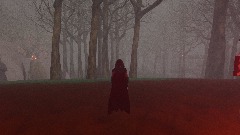 Forest of Silence B