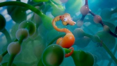 Seahorse