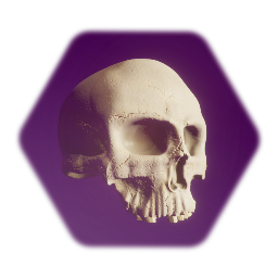 Old Skull