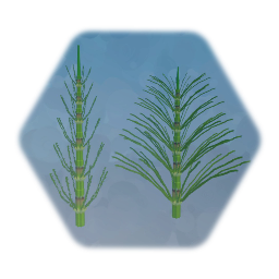 Community Garden 2.3: Equisetum arvense