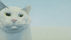 VIBING cat (brr)
