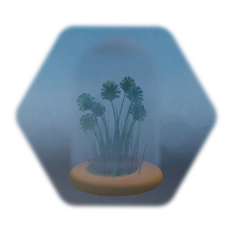 Domed Terrarium