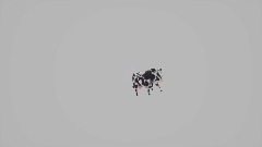Polish Cow Dancing Meme