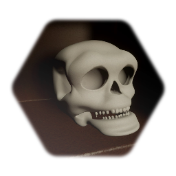 Human skull