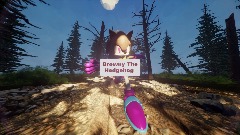 Browny The Hedgehog (Reboot) Browny's Story