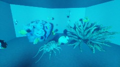 Aquarium Part 1
