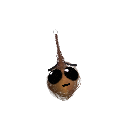 silentsolja420