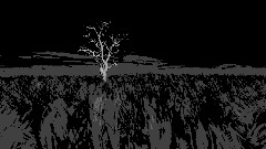 when do i fly? why did i fall?