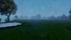 Spider forest (Demo)