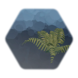 Fern