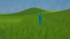 Running sim
