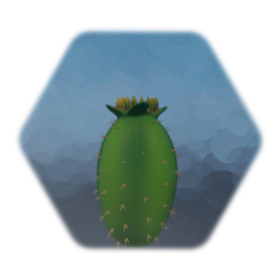 Cactus 002