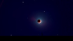 A screenshot taken in Dreams. 7 of 12.