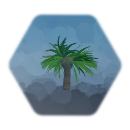 Yucca palm
