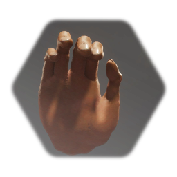 Realistic Hand