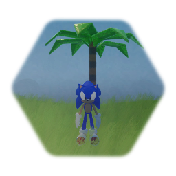 Sonic level 1