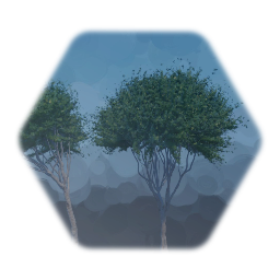 San Francisco Assets