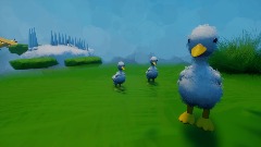 Duck Game