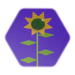 Green Hill Sunflower