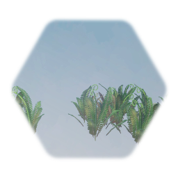 Fern Tropical