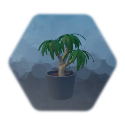HousePlant 1